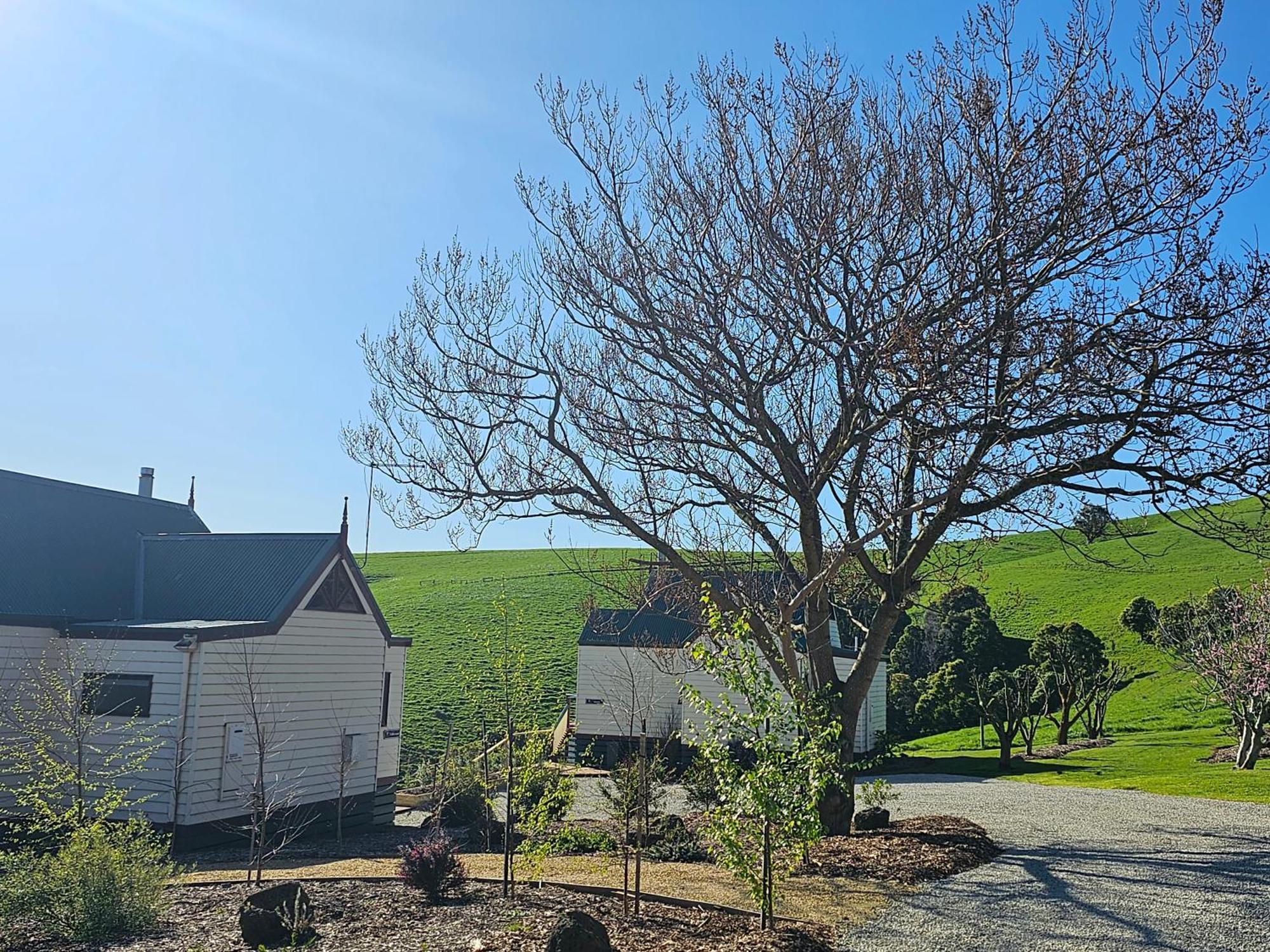 Maple Ridge Cottages Dumbalk Εξωτερικό φωτογραφία